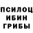 Псилоцибиновые грибы GOLDEN TEACHER Feniks11