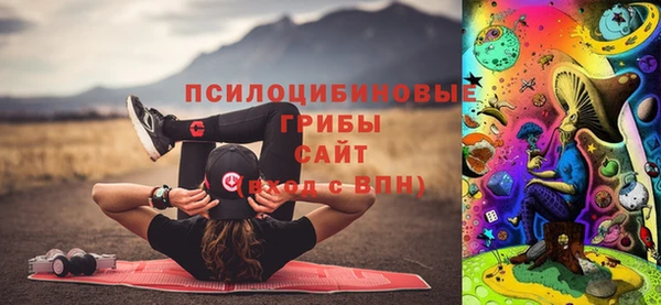 прущий лед Алзамай