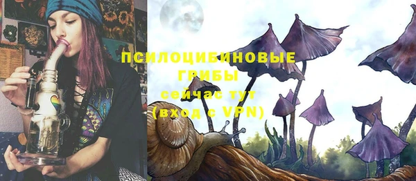 бошки Абдулино